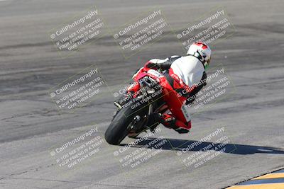 media/Feb-04-2024-SoCal Trackdays (Sun) [[91d6515b1d]]/4-Bowl Backside (11am)/